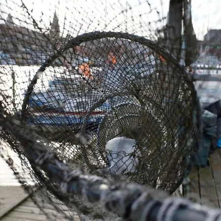 Stadtgruen Flensburg