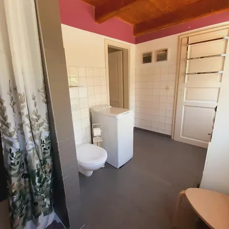 Daire Stadtgruen Flensburg