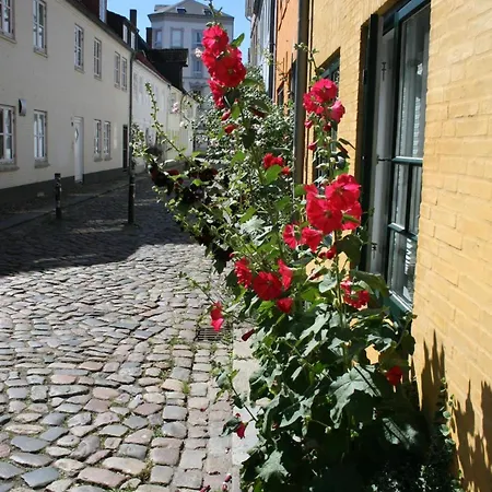Apartment Stadtgruen *